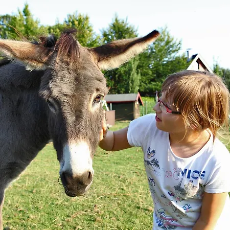 Landhotel-restaurant Beckmann מלון Heiden