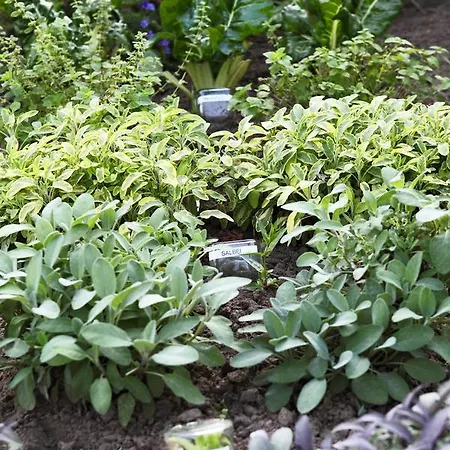 Landhotel-restaurant Beckmann *