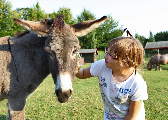 Landhotel-restaurant Beckmann Hotel Heiden